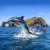 Coastal_Wonders