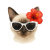 Yen Yen  Siamese Cat Shop