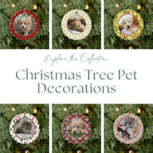 Christmas Tree Editable Pet Photo Collection