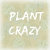 Plant_Crazy_Corner
