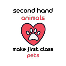 Second hand animals make first class pets