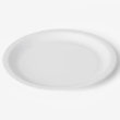 Assiette en carton