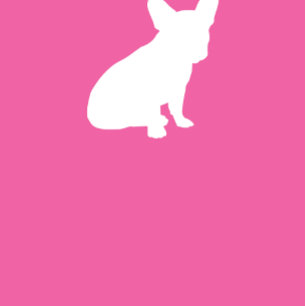 Invitation Baby shower Français de Bulldog Frenchie Rose Girl