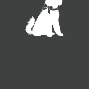 Invitation Goldendoodle Chien Baby shower Blue Boy