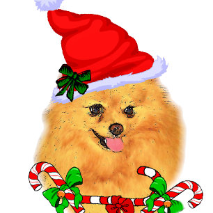 Cartes Pour Fêtes Annuelles Noël de Cute Pomeranian Père Noël
