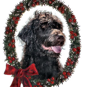 Cartes Pour Fêtes Annuelles Labradoodle Cadeaux de Noël