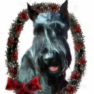 Cartes Pour Fêtes Annuelles Cadeaux de Noël Giant Schnauzer