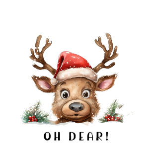 Grande Chaussette De Noël FUNNY Holiday Reindeer