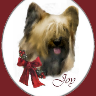 Briard kerstcadeaus feestdagen kaart