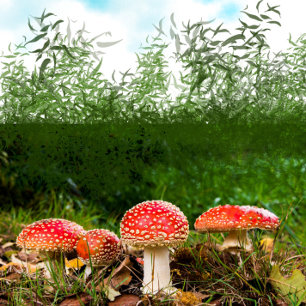Sticker Rond Chambres Muchroom de la forêt d'automne