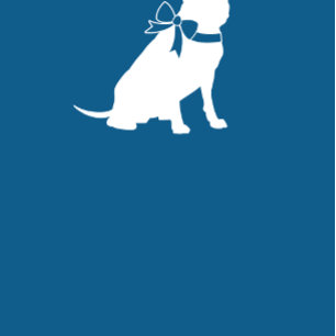 Invitation Pit Bull Chien Baby shower Blue Boy Pitbull