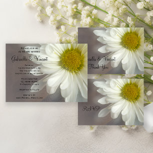 Marguerite blanche douce sur mariage gris RSVP