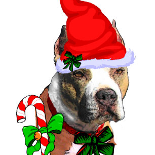 Cartes Pour Fêtes Annuelles Noël mignon Pit Bull