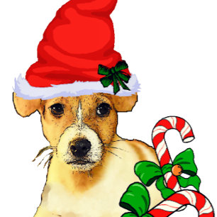 Cute Jack Russell Terrier Kerstmis Feestdagen Kaart
