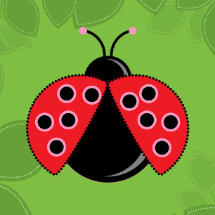 Ladybug 1er anniversaire Invitation avec photo