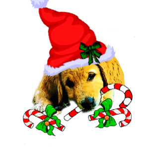 Cute Golden Retriever Puppy Kerstmis Feestdagen Kaart
