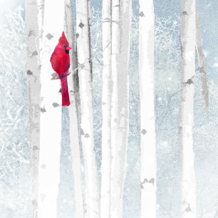 Cartes Pour Fêtes Annuelles Noël veut le cardinal rouge pour volontaire