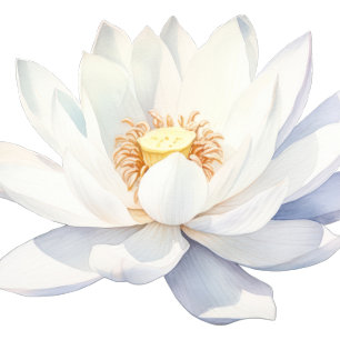 Invitation de fête d'anniversaire spa