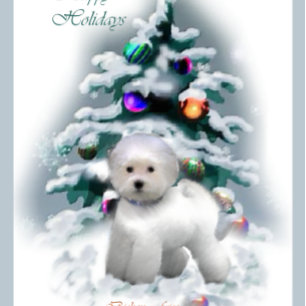 Bichon Frise kerstcadeautjes Feestdagen Kaart