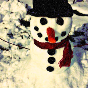 Cartes Pour Fêtes Annuelles Northern Lights & Metors Winterscape Holiday Card