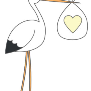 Invitation Cute Stork Baby shower Mod Rose Girl