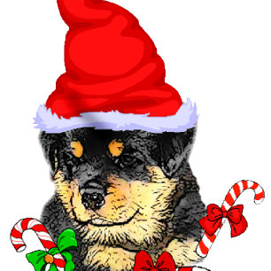 Cartes Pour Fêtes Annuelles Cute Puppy Rottweiler Père Noël Noël