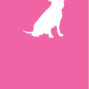 Invitation Pit Bull Chien Baby shower rose fille Pitbull