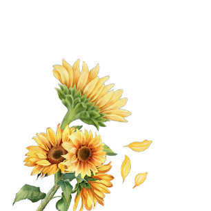 Save The Date Tournesol Romantique Rustique Jaune