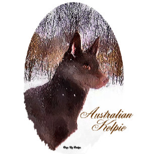 Australische Kelpie Kerst Kaarten Cadeaus