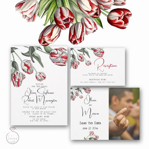Invitation Trois Volets Mariage   Tulipes Rembrandt blanches et rouges flo