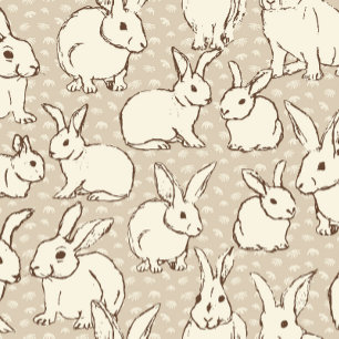 Assiettes En Carton Lapin Céleste lapins Bonanza - motif.