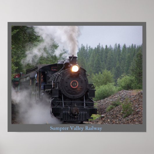 SVEGposter0701 Poster (Voorkant)