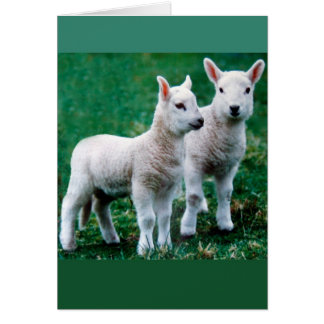 Sven & Ole-kaart