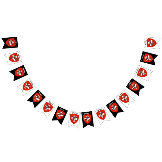 Svizra Party Bunting Banner (Alle)