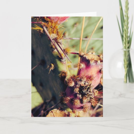 SW Textures Title Frame Kaart (Voorkant)