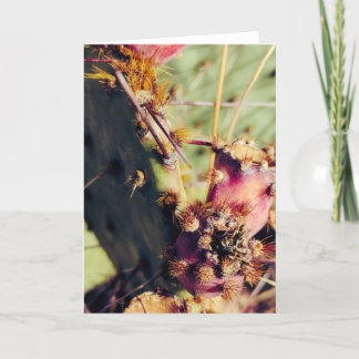 SW Textures Title Frame Kaart