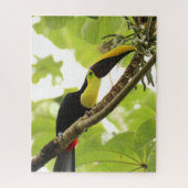Swainson Toucan Exotic Bird Legpuzzel (Verticaal)