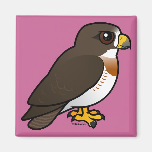 Swainson's Hawk Magneet (Voorkant)