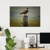 Swainson's Hawk met zijn dood Poster (Thuiskantoor)