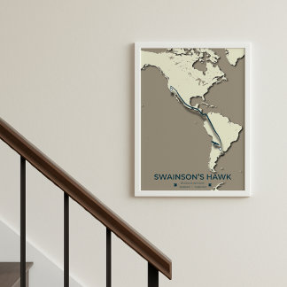 Swainson's Hawk-migratiekaart - minimalistische Vi Poster