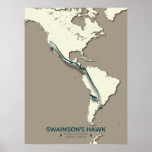 Swainson's Hawk-migratiekaart - minimalistische Vi