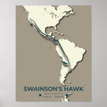 Swainson's Hawk-migratiekaart - minimalistische Vi