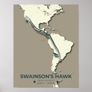 Swainson's Hawk-migratiekaart - minimalistische Vi Poster