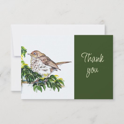 Swainson's lijster vogel natuur aquarel Dank je Bedankkaart (Voorkant)