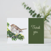 Swainson's lijster vogel natuur aquarel Dank je Bedankkaart (Staand voorkant)