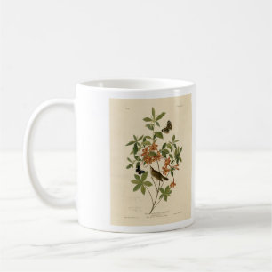 Swainson's Warbler uit Audubon's Birds of America Koffiemok