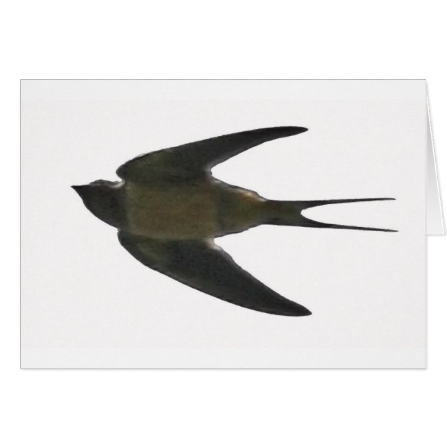 Swallow (Devant horizontal)