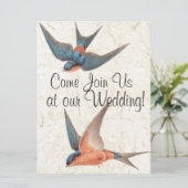 Swallow Birds Wildlife Animals Faire-part de maria (Debout devant)