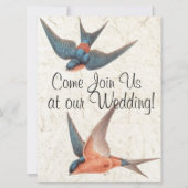 Swallow Birds Wildlife Animals Faire-part de maria (Devant)