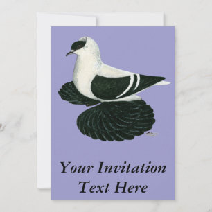 Swallow Pigeon Saxon Zwart Wit Bar Kaart